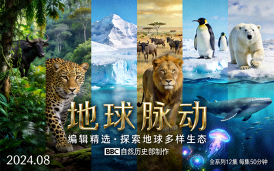 编辑精选纪录片《地球脉动》详细海报，展示地球多样生态系统
